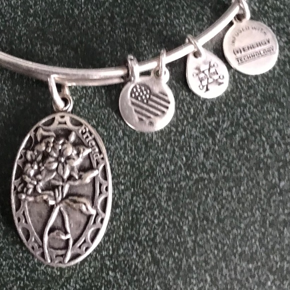 Alex And Ani Expandable Wire Bangle Bracelet Friend Charm 2016 - Picture 14 of 16